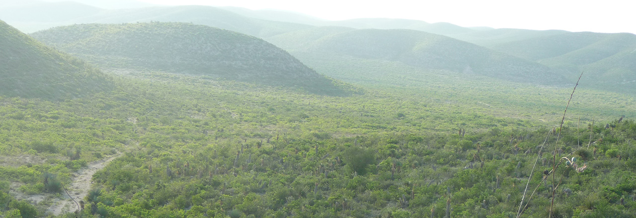 cmt_home__0000_Layer 8