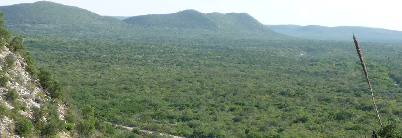 cmt_home__0003_Layer 5