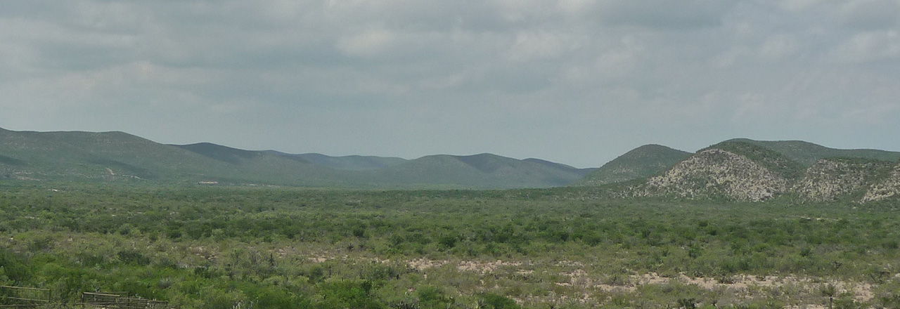 cmt_home__0005_Layer 3