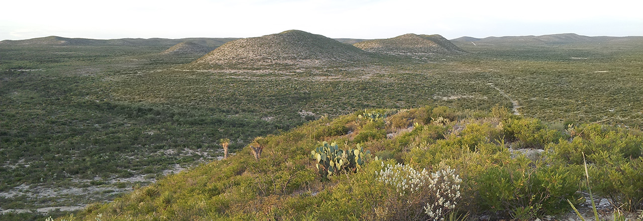 cmt_home__0007_Layer 1