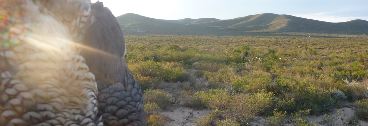 9_cmt_home_02-02-2016